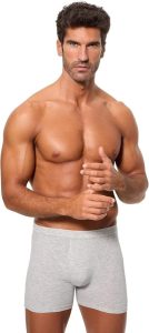 boxer abanderado