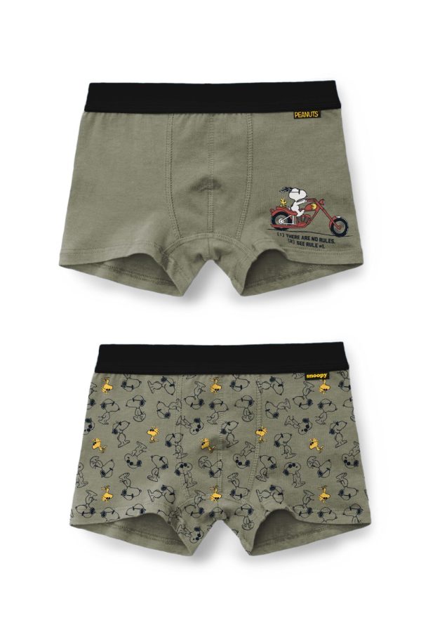 pack de 2 boxer de PEANUTS 48564