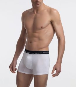 boxer abanderado