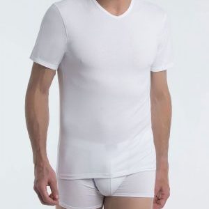 Camiseta Abanderado Modelo 40X-DGO , Comodidad, Calidad y Estilo que se Siente Todo el Día