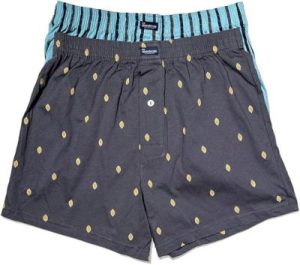 boxer abanderado