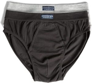 calzoncillos abanderado modelo 5379